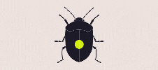 Cyborg Insects For National Security
